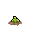 Exploding Leek sm.gif