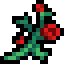 Brightrose m.png