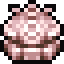 Pearl Clam sprite