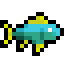 Tuna