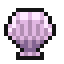Scallop