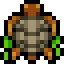 Cooked Sea Turtle