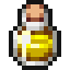 Large XP Potion