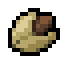 Cocoa