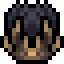 Spider Carapace