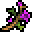 Grotwort