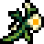 Dawnblossom