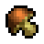Brown Mushroom