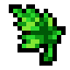 Sapling Leaf